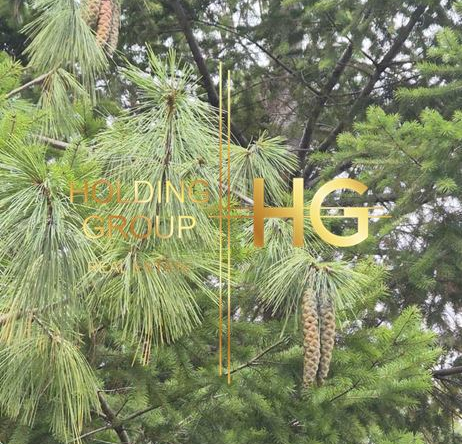 Парцел в м-т Боровец-ЮГ - 0